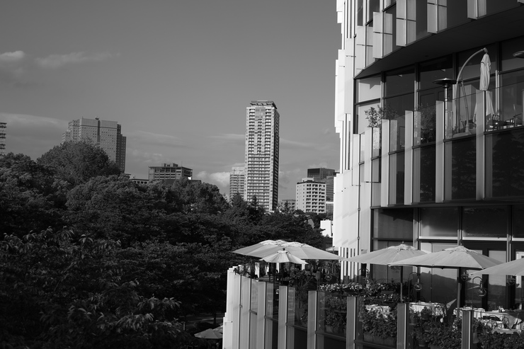 e0191232_2143943.jpg
