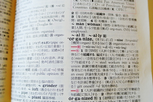  今日のVerb　　organize_d0170835_7313623.jpg