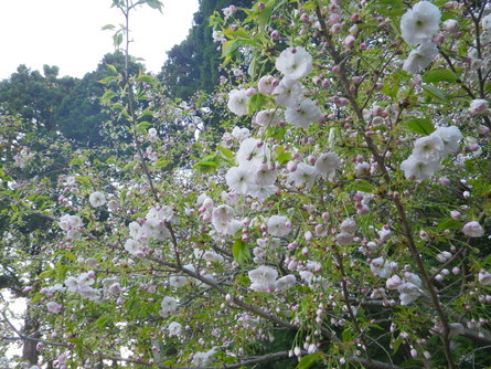 b0207642_17301851.jpg