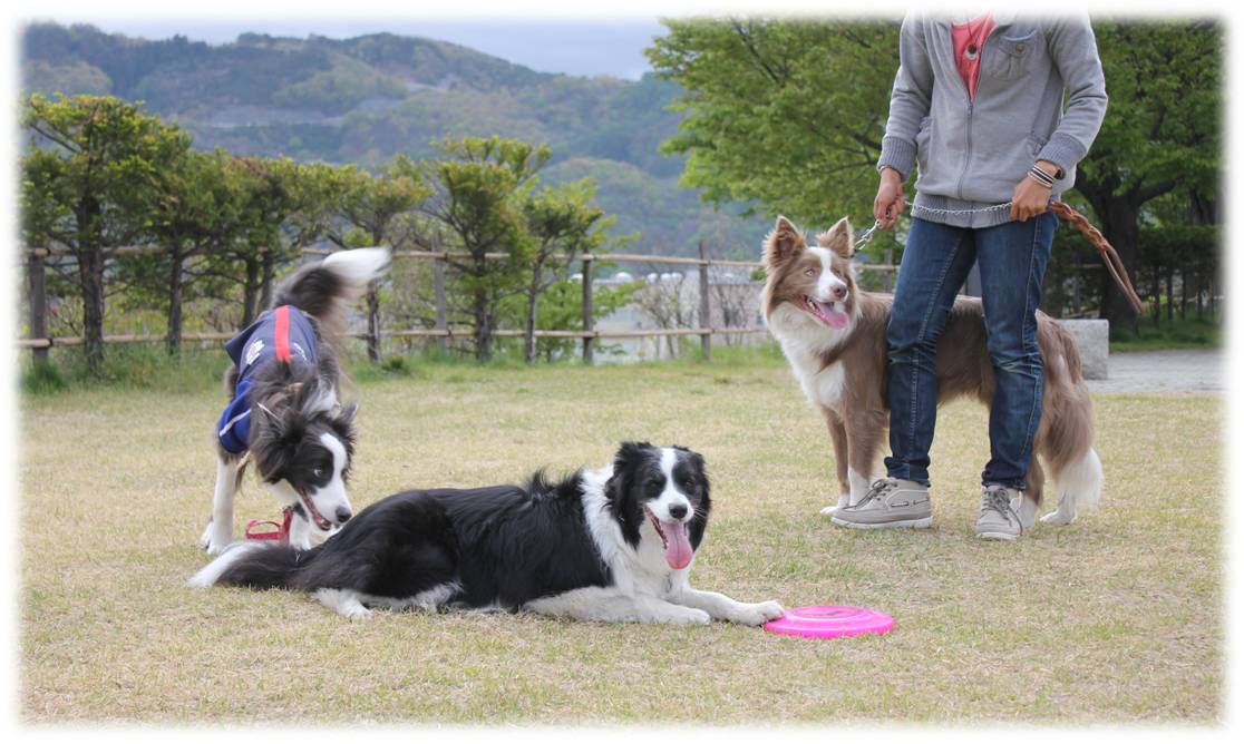 本日☆敷島公園＆メイトカフェで合流です♪_b0245048_7511538.jpg