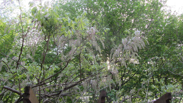 b0247153_12165284.jpg