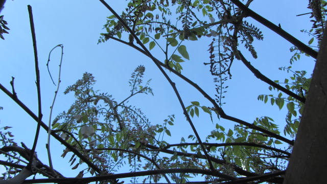 b0247153_12211654.jpg