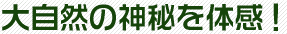 c0119160_1533257.gif