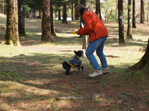 mt.fuji camp ドリルとコジル_e0243765_21322712.jpg