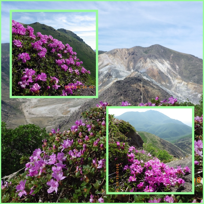 石楠花とミヤマキリシマの花咲く三俣山。_f0016066_20111359.jpg