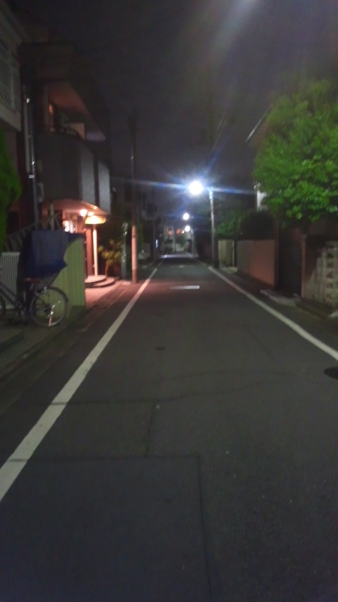 e0069867_35009.jpg