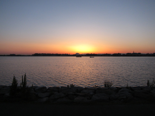 b0055171_14501097.jpg