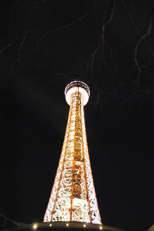 今晩版_e0334374_1421626.jpg