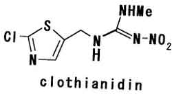 ネオニコチノイド　「フリカケ」は放射性物質だけではない_c0139575_1165629.jpg
