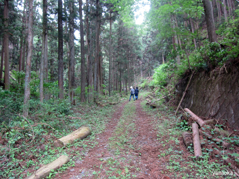 休日の山歩き。_f0071480_22235939.jpg