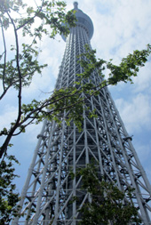 e0060483_236141.jpg