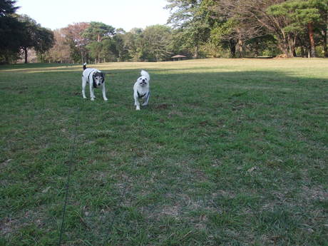 お気に入りの公園。_c0253487_051840.jpg