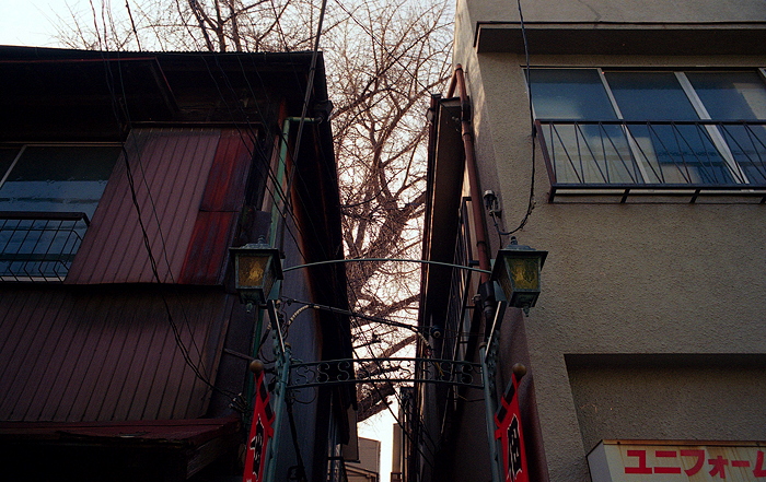 c0214494_1131991.jpg