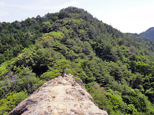 b0108100_1710572.gif