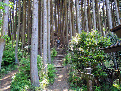 b0108100_172141.gif