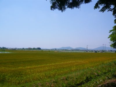 c0024502_9132230.jpg