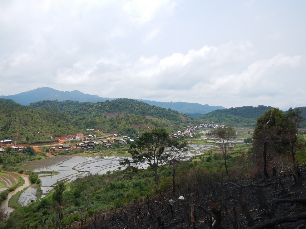d0147002_024331.jpg