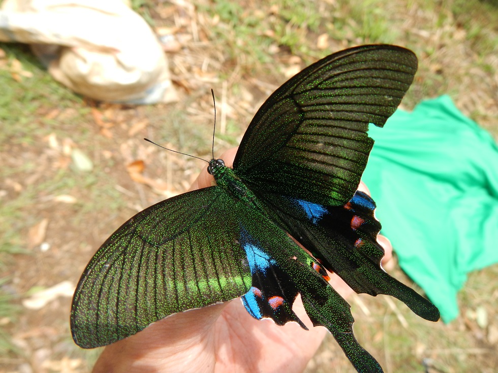 d0147002_0464528.jpg