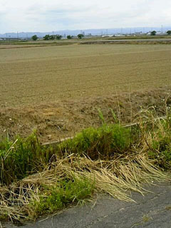 f0146804_19584156.jpg