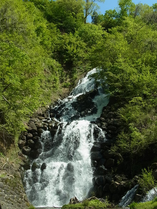e0243008_14411688.jpg