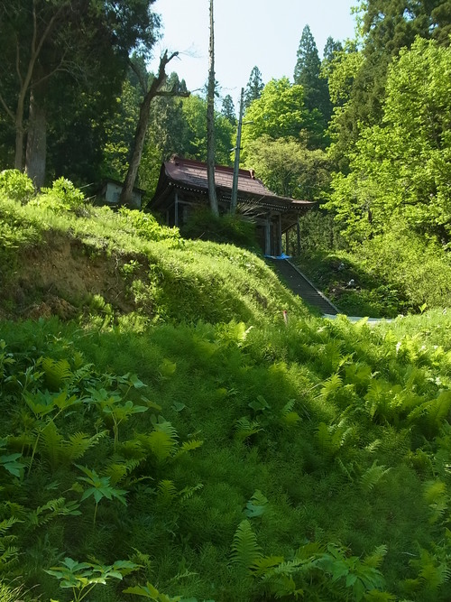 e0243008_14414926.jpg