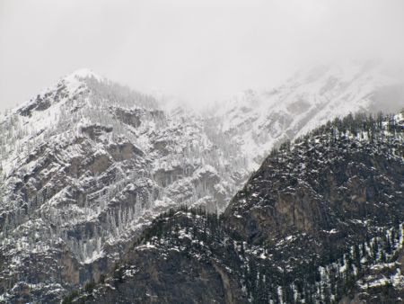 b0051109_73527.jpg