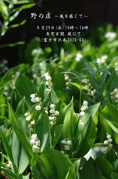 雑誌掲載_b0264320_929122.png