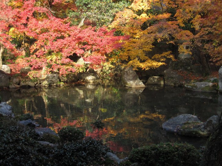 京都錦秋編(10)：蓮華寺・琉璃光院(11.12)_c0051620_8388.jpg