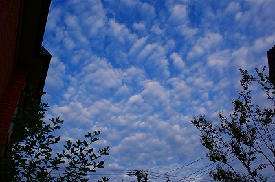 f0170524_21515691.jpg