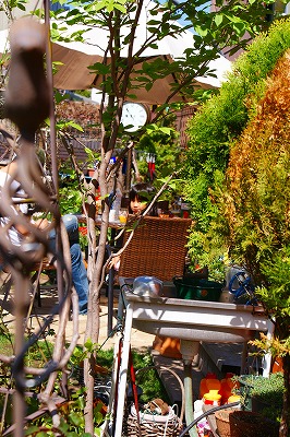 f0170524_21545374.jpg