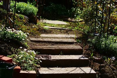 f0170524_21563345.jpg