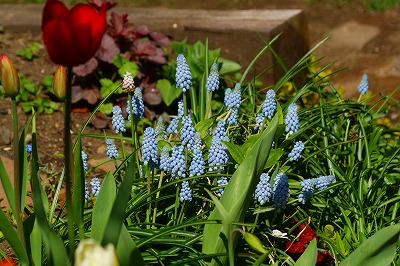 f0170524_221742100.jpg