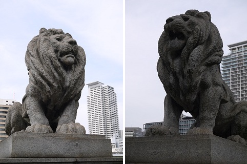 中之島公園バラ園 ~大阪~_c0235725_17253573.jpg