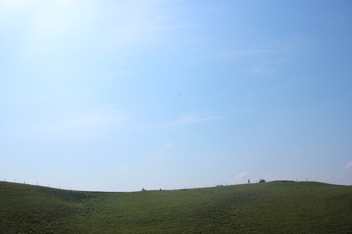 b0208228_16601.jpg