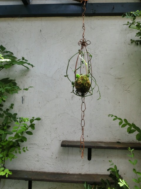 c0102228_98517.jpg