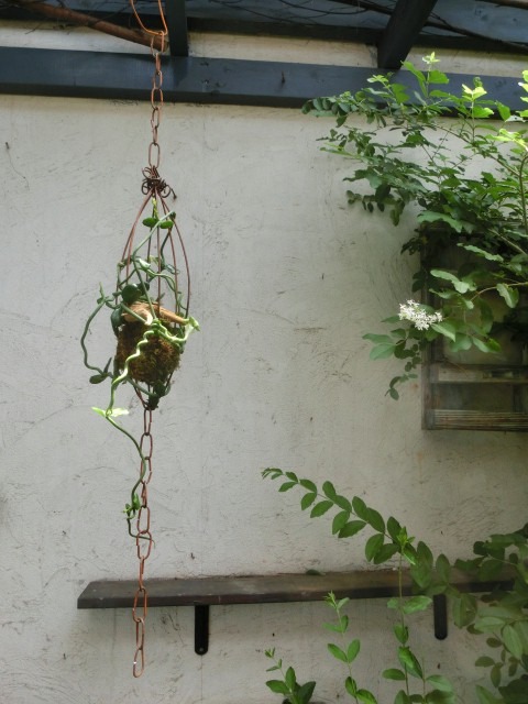 c0102228_98626.jpg