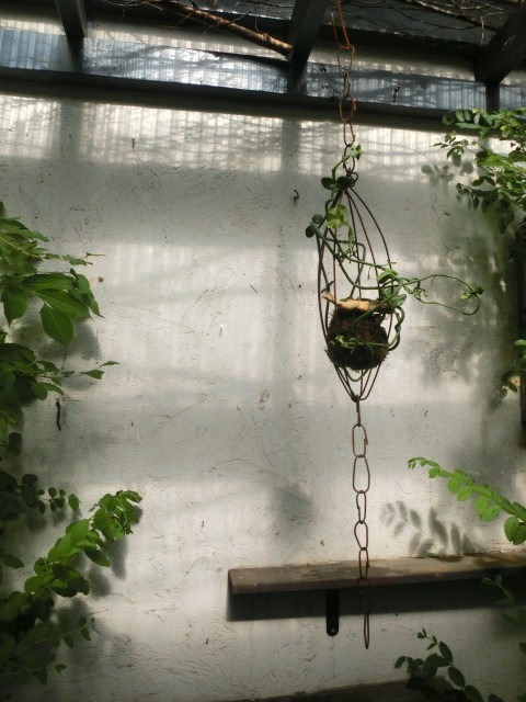 c0102228_99395.jpg