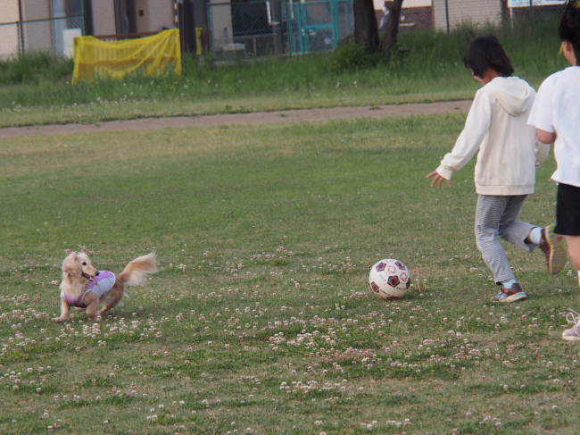 c0117831_1723972.jpg