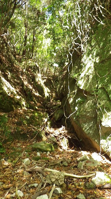 c0029332_12112598.jpg