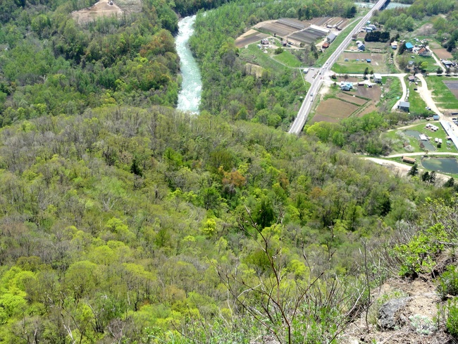 d0235336_2191786.jpg
