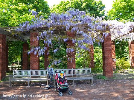 ＜Nordpark＞春の花いっぱい♪目の保養にいかが_a0289037_16173573.jpg