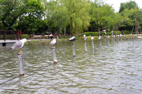 c0090139_2023133.jpg