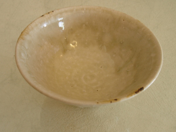阿南維也さんの磁器皿_b0132442_1410156.jpg