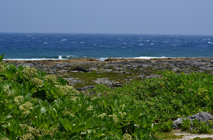b0288942_11305541.jpg