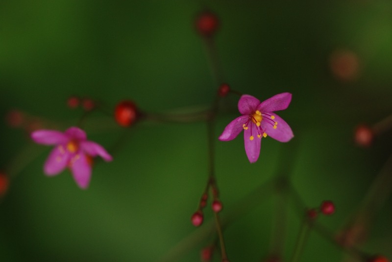f0229844_224345.jpg