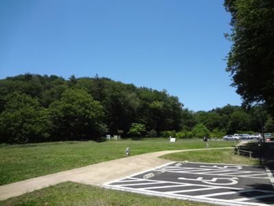 おたまじゃくしは萌えているか？ その2。_b0136045_23342325.jpg