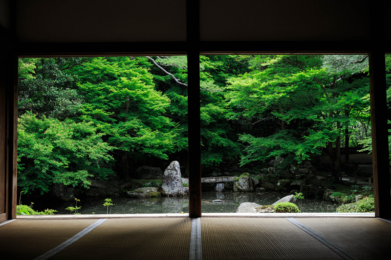 緑の蓮華寺_f0155048_2241031.jpg