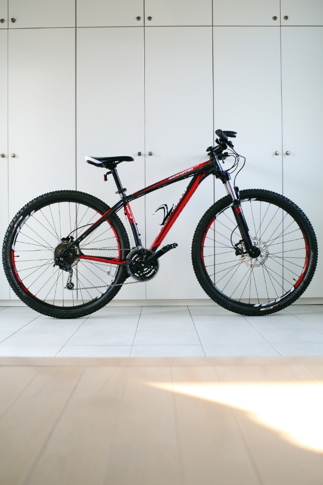 続： SPECIALIZED　29er　デビュー！_b0078651_161056.jpg