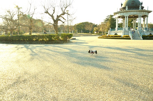 冬の公園_e0284355_2234935.jpg