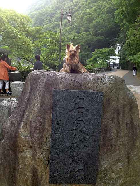 湯原温泉へ。_c0109957_22185921.jpg